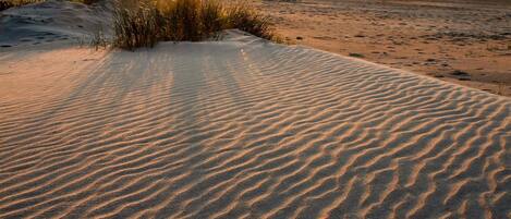 Apartment | View from property