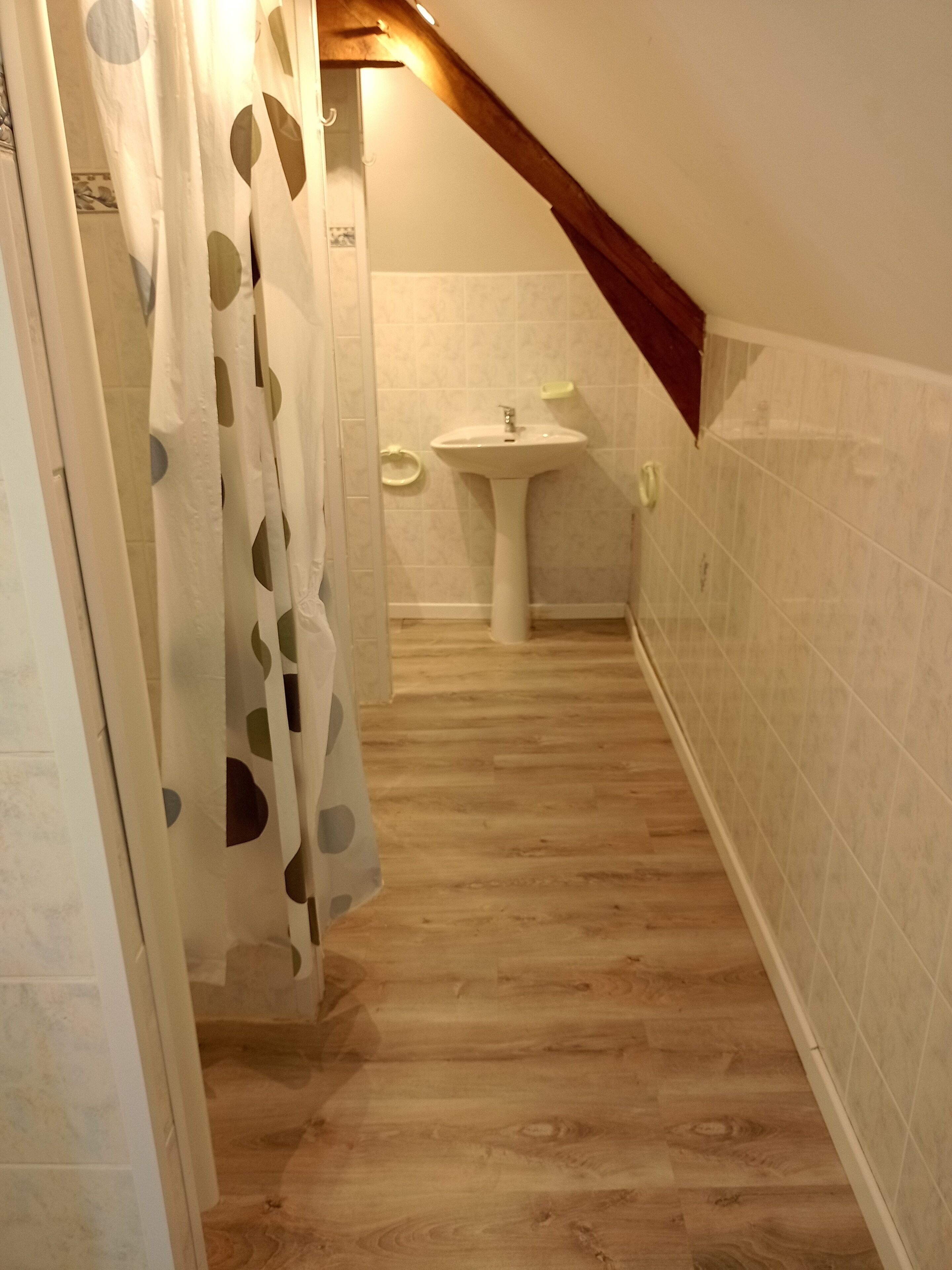 Douche, sèche-cheveux, papier toilette