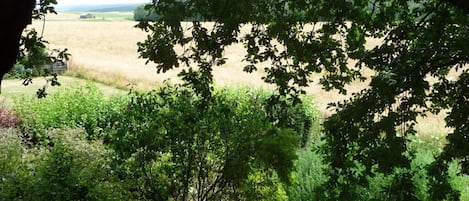 2 bedrooms, individually furnished