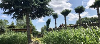 "little America" Modern Retreat