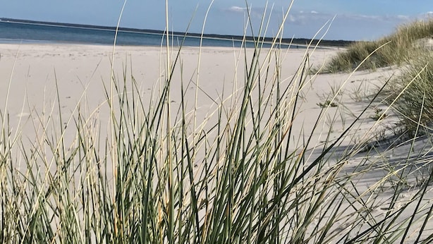 A beach with sand and grass in the foreground, and a clear sky in the background. - Hideaway, Pruchten- Baltic Coast (Pruchten)