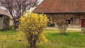 A rural property with a large barn, a small garden with flowering bushes, and a tree with pink blossoms. - Maison de Vacances à la Ferme en Bourgogne 4/6 Personnes (Montret)
