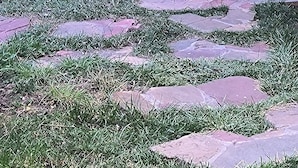 Căn hộ tiện nghi đơn giản, nhiều giường, tầng trệt | Truy cập Internet không dây miễn phí, bộ trải giường 