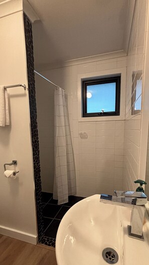 Shower, hair dryer, shampoo