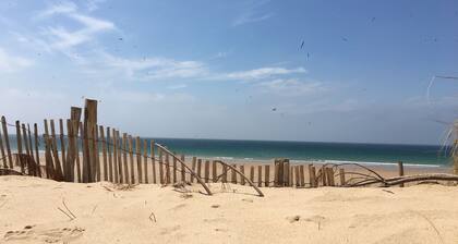 Alma 8 Le Calme au Coeur de Cherbourg