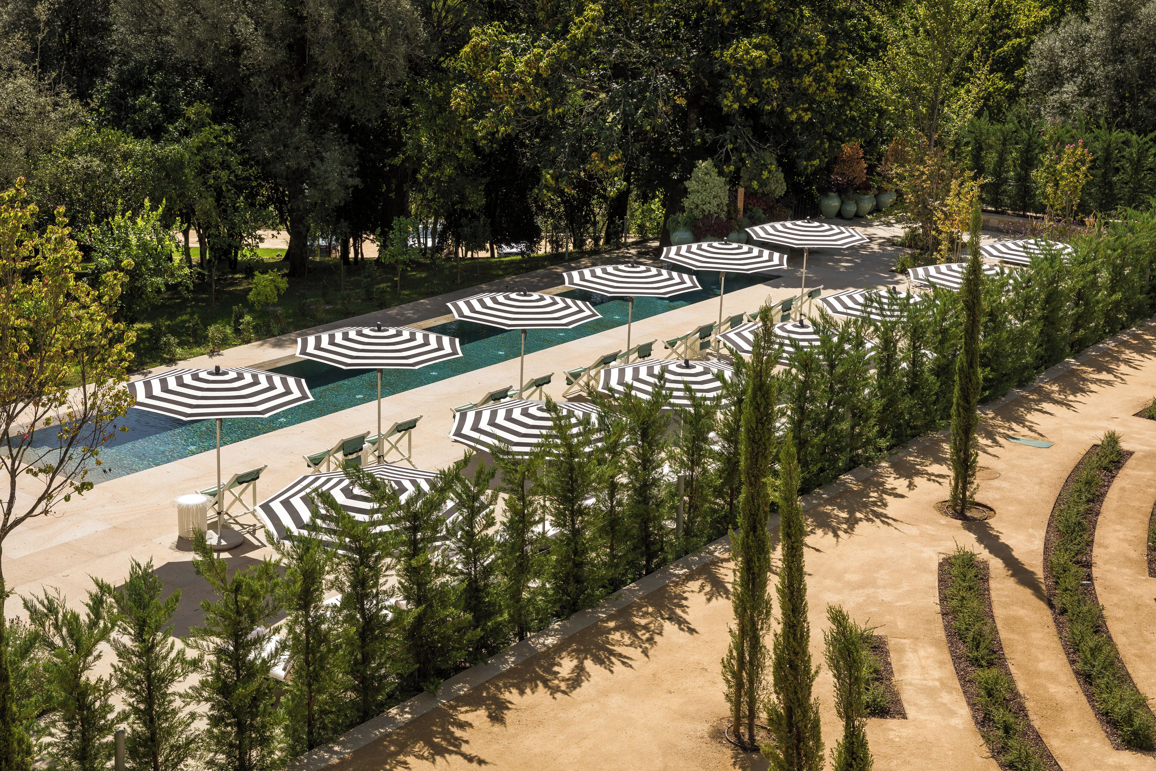 A poolside area with multiple lounge chairs and umbrellas arranged in rows.