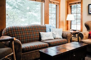 Télévision, cheminée, livres