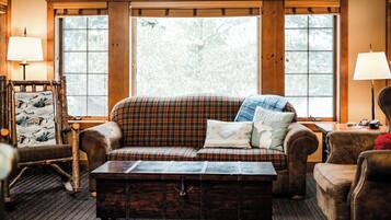 TV, fireplace, books