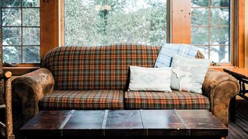 TV, fireplace, books