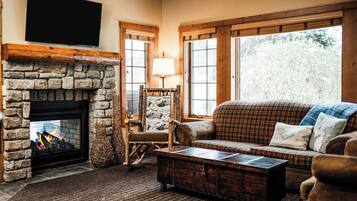 Télévision, cheminée, livres