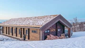 独立别墅 | 外观