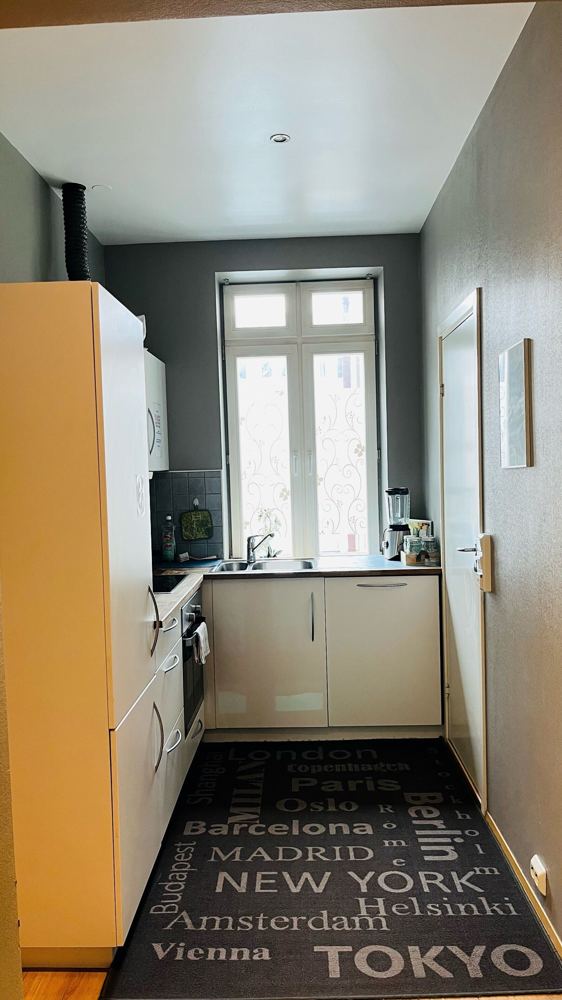 Standard Condo, 1 Double Bed | Private kitchen