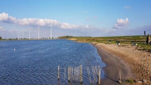 Une plage avec des éoliennes en arrière-plan et un rivage sablonneux.