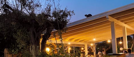 Dinner served, Italian cuisine, garden views