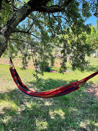 ์ฟผ๋๋ฃธ, ์ ์ ์ ๋ง | ํ
๋ผ์ค/ํํฐ์ค