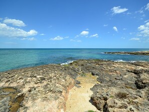 House | View from property - Villa in Ostuni's White City (Ostuni)