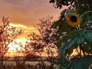 A sunset with a sunflower in the foreground. - 6 Person Holiday Home in Hojer (Højer)