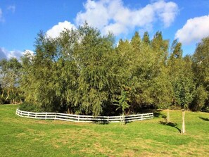 Exterior - Pleasant Apartment in Insel Poel (Insel Poel)