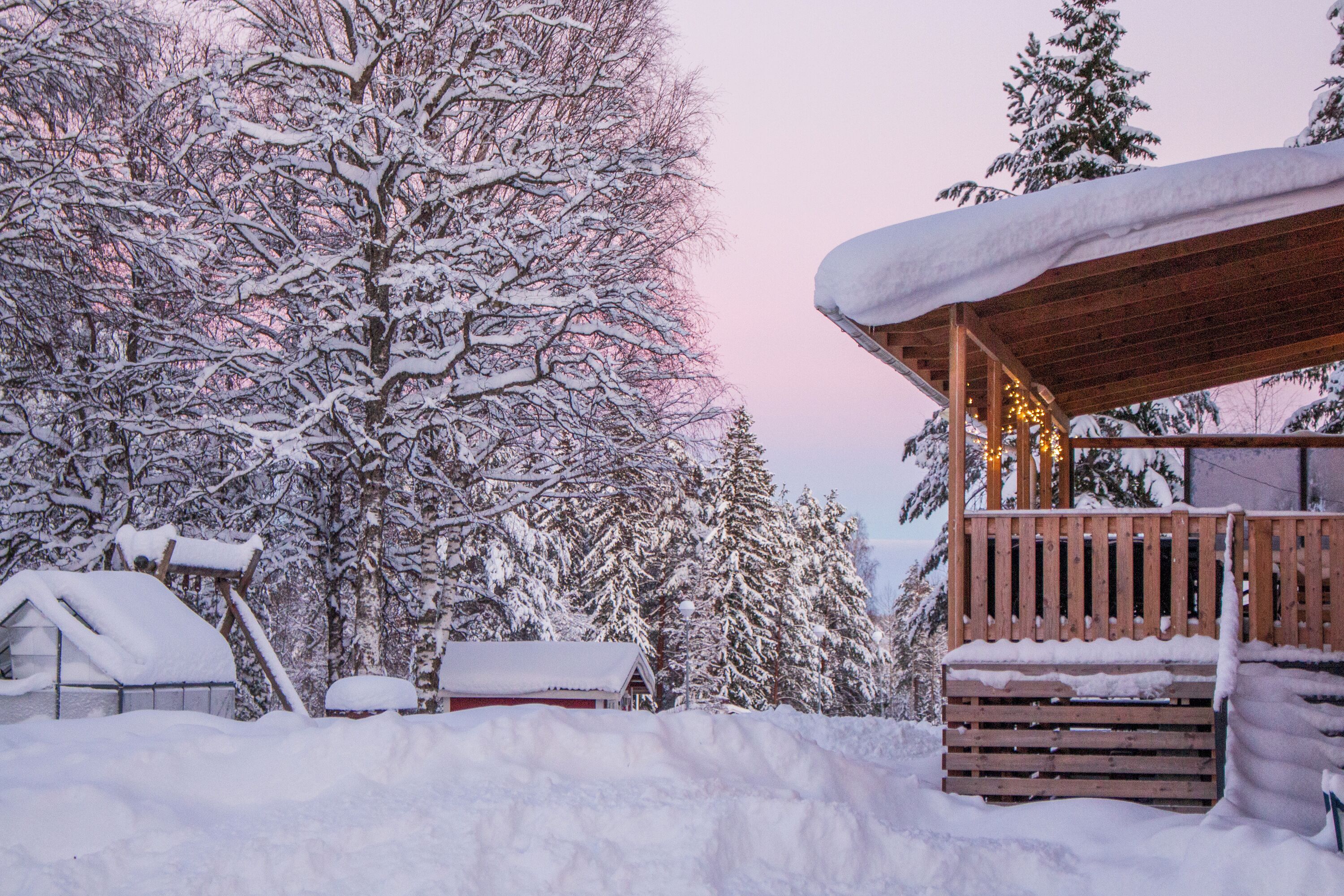 Blick auf den Garten