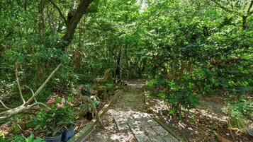 Terrain de l’hébergement