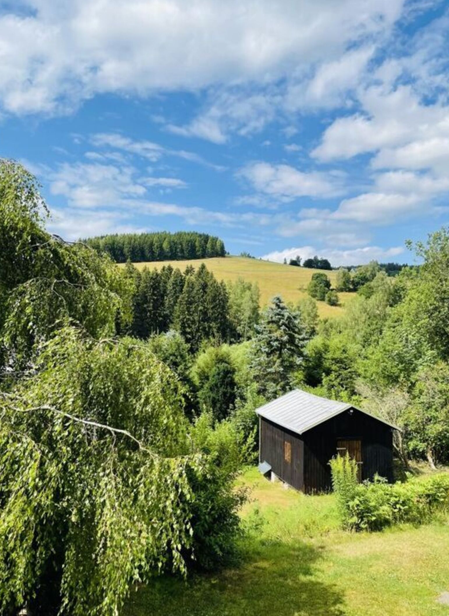 Ländliche Landschaft mit einer kleinen Holzhütte, umgeben von dichtem Grün und einer Hügelkette im Hintergrund.