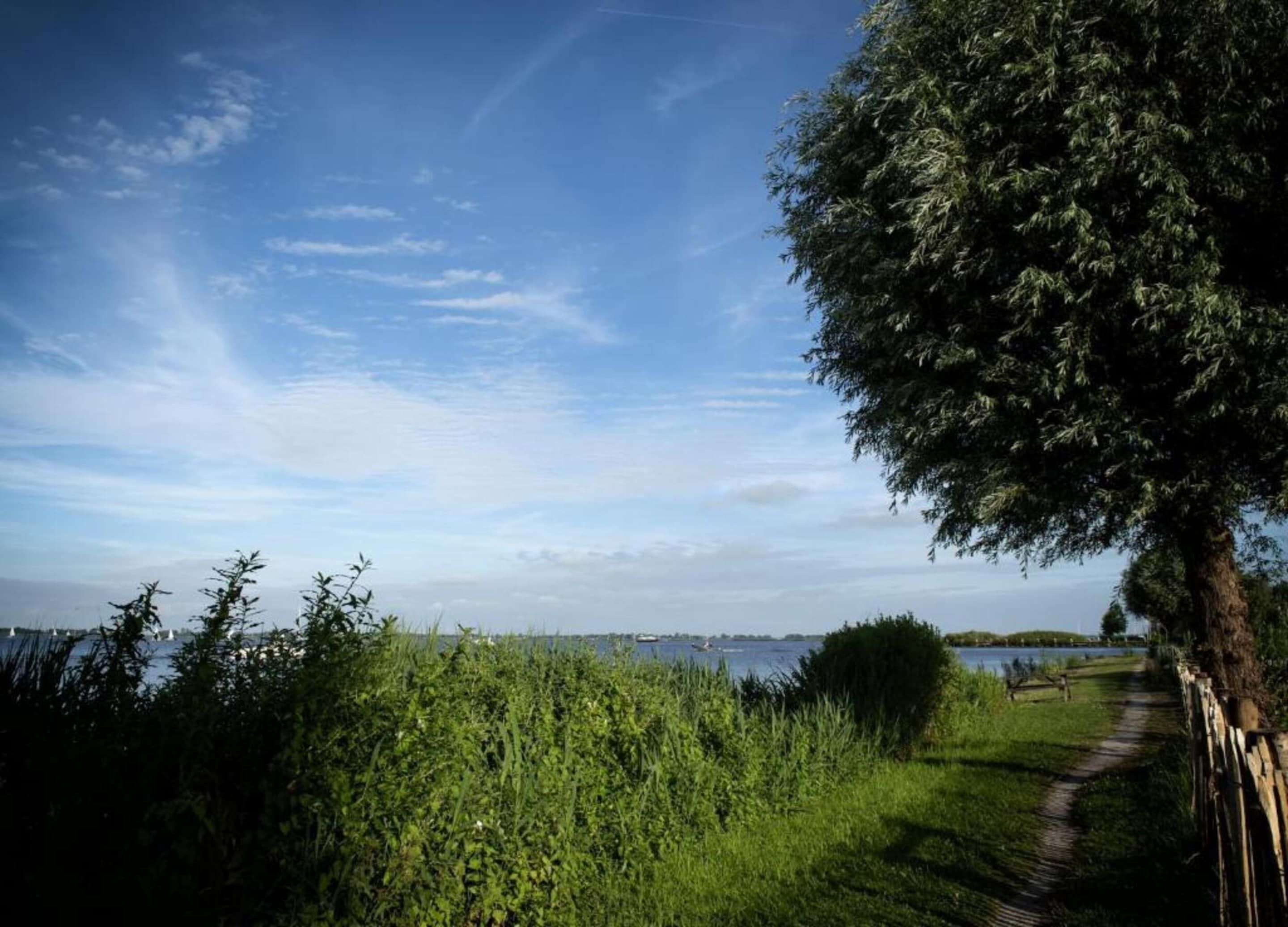 Un sentier qui mène à un plan d’eau, avec un arbre sur la droite et une végétation dense sur la gauche.