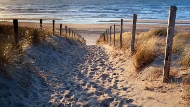 A sandy beach path leading to the ocean, bordered by wooden posts and grass. - Charming Chalet With Spacious Enclosed Garden (Hippolytushoef)