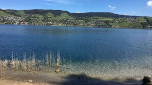 A lake with clear water, a shoreline with reeds, and a town in the background. - Farm in the Agerital (Oberaegeri)