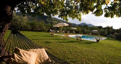 Spacious Home With Pool