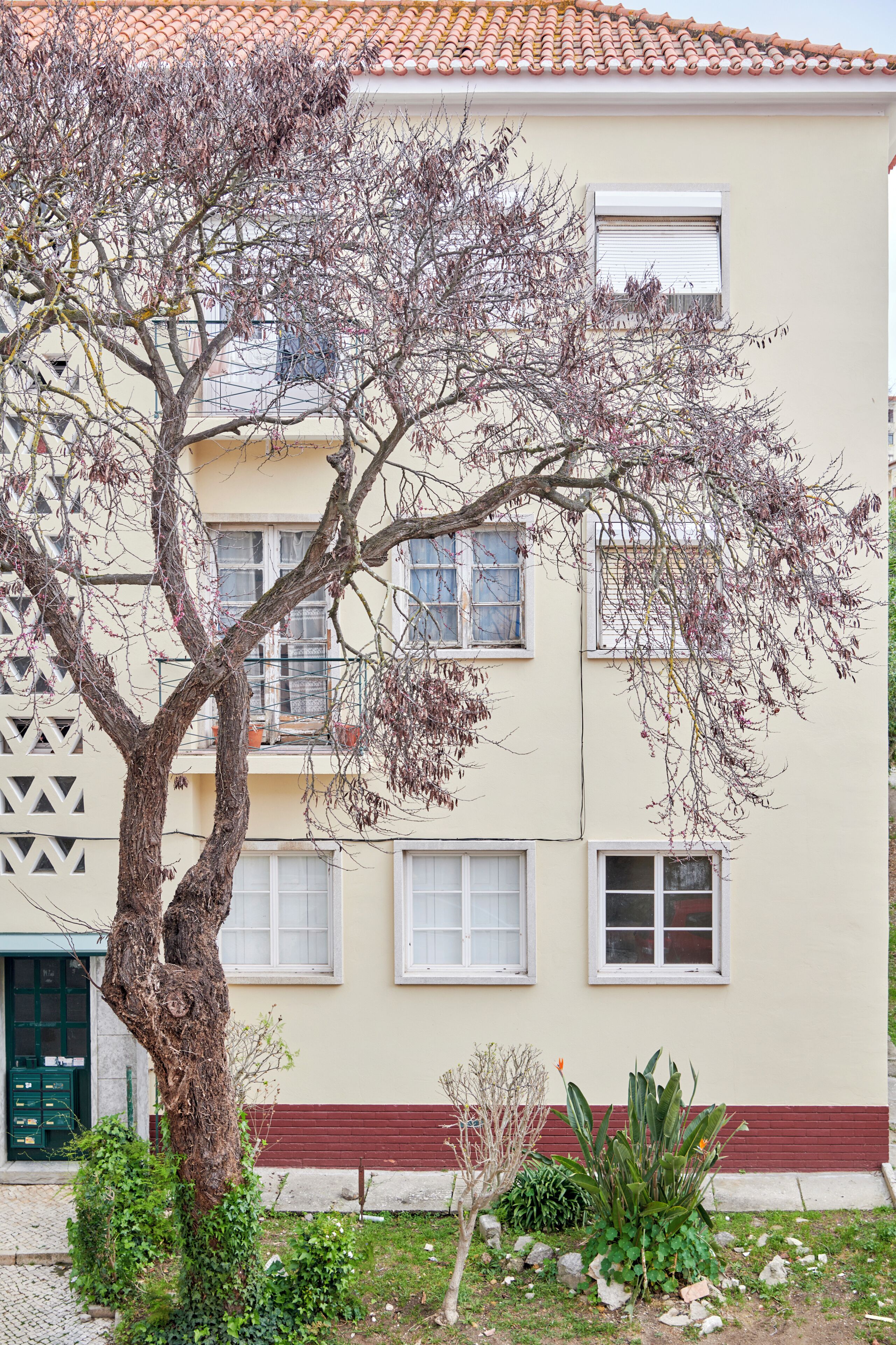 A building with multiple windows, a tree in front, and a small garden area.
