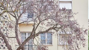 Un edificio con varias ventanas, un árbol en primer plano y un pequeño jardín.