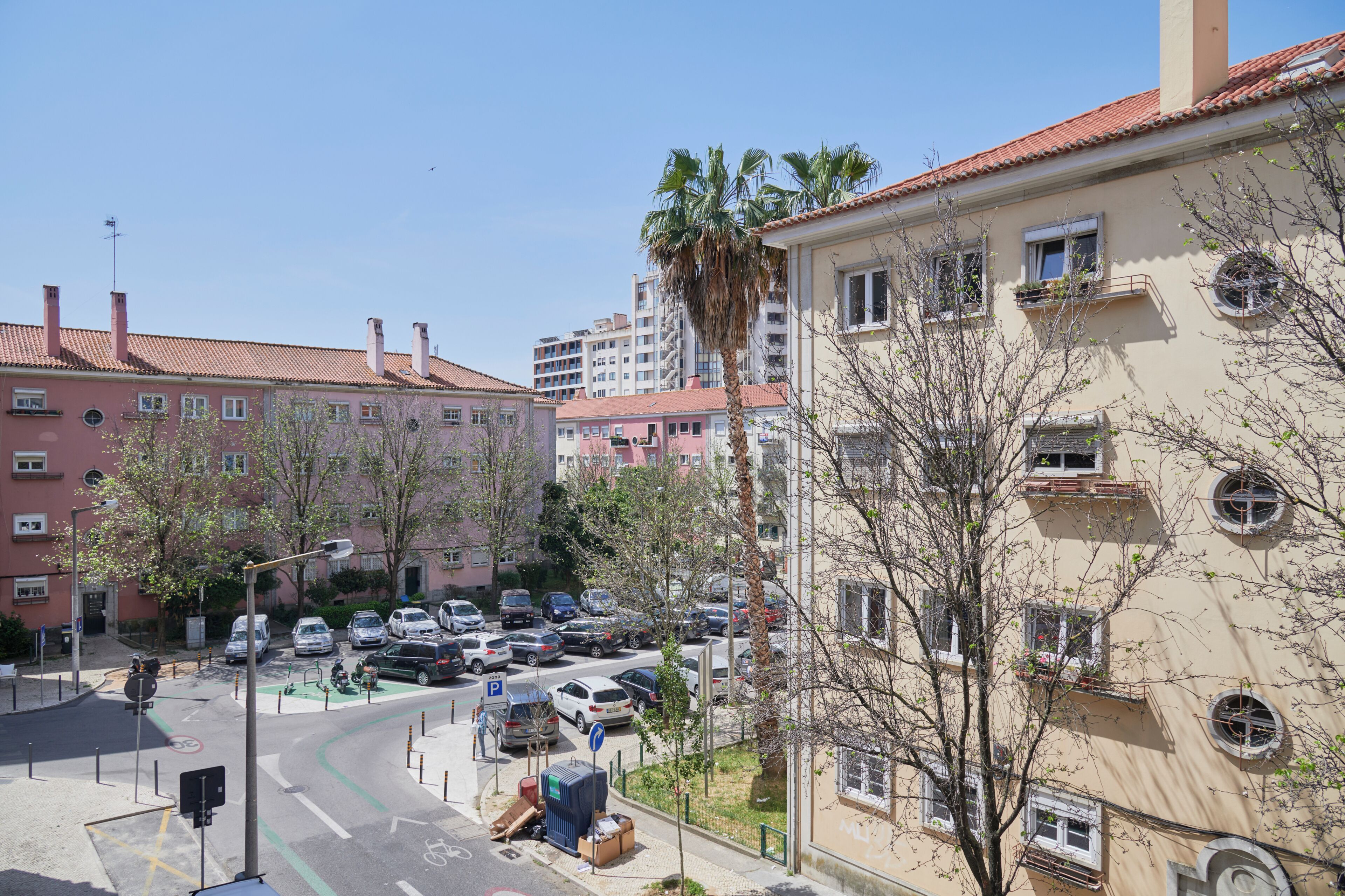Una calle residencial con coches estacionados, una palmera y edificios de varios pisos.