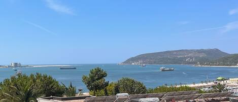 A coastal view with ships, a mountain, and solar panels.