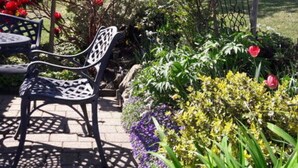 A garden patio with a metal table and chairs, surrounded by flowering plants and a tree. - Holiday Apartment Schupp (Dachsberg)