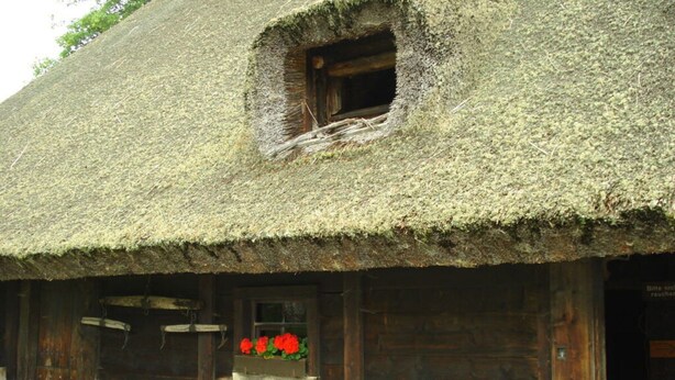 A rustic building with a thatched roof, a stone foundation, and wooden windows. - Holiday Apartment Schupp (Dachsberg)