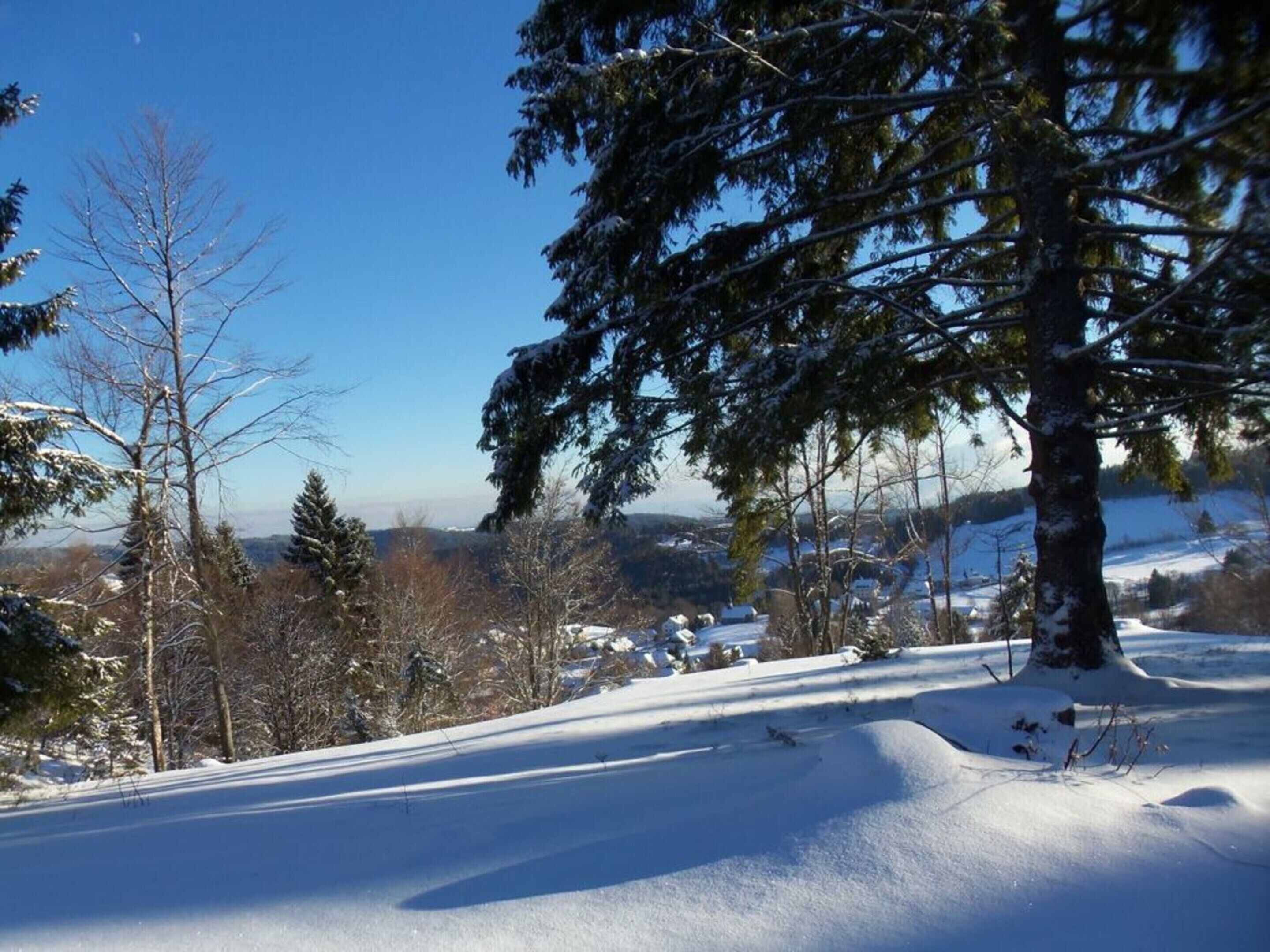 Un paysage enneigé, avec un ciel bleu dégagé, des arbres et une vue lointaine d’une ville.