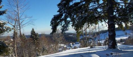 Un paysage enneigé, avec un ciel bleu dégagé, des arbres et une vue lointaine d’une ville.