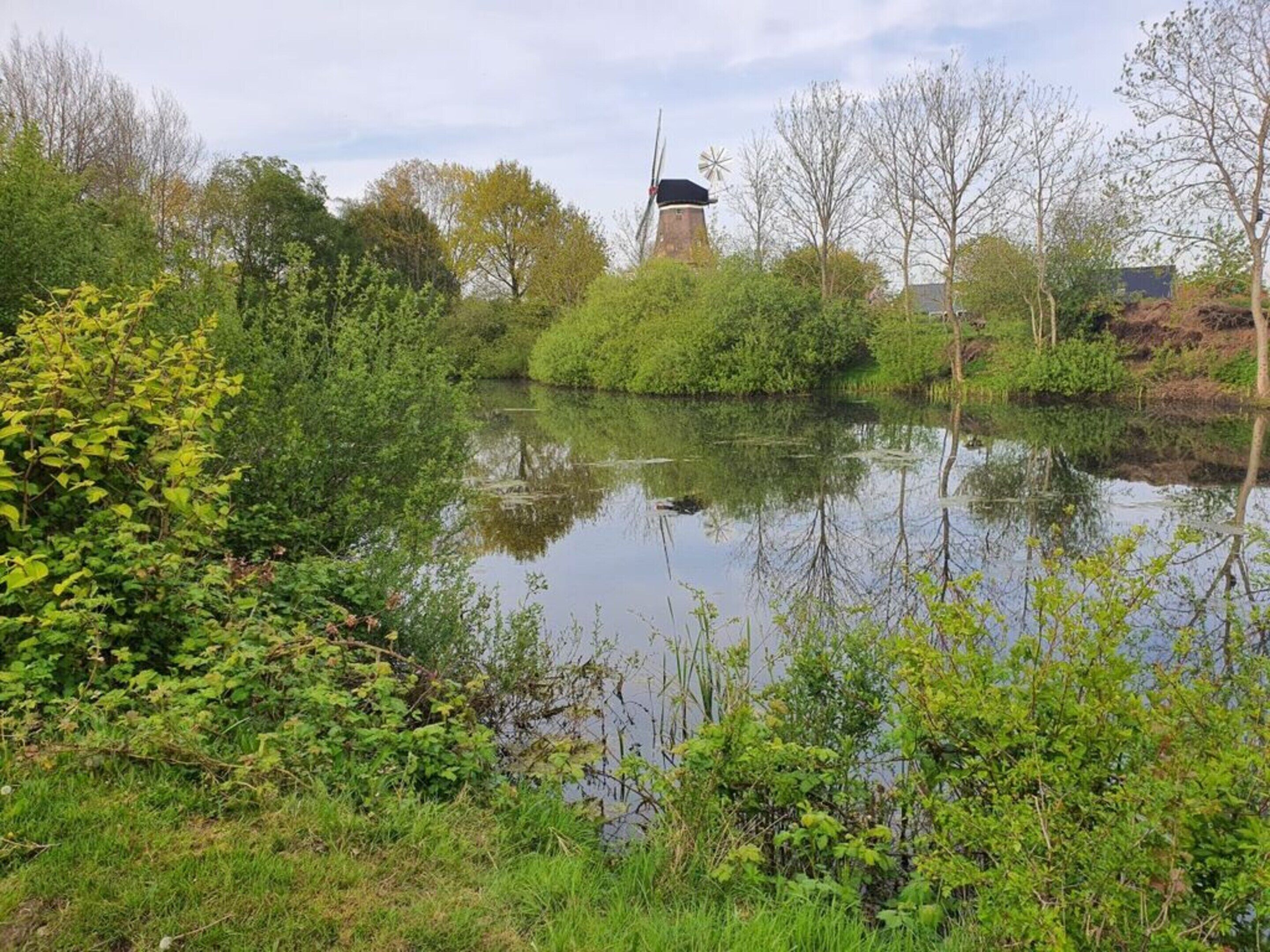 Een rustig vijver met een windmolen op de achtergrond, omringd door weelderige begroeiing en bomen.