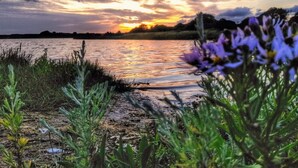A sunset over a body of water with vegetation in the foreground. - 4 Star Holiday Home in Ronde (Ronde)