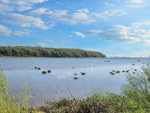 House | Beach - 4 Star Holiday Home in Ronde (Ronde)