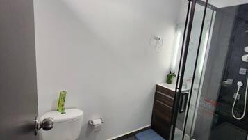 Villa, Accessible, Smoking | Bathroom