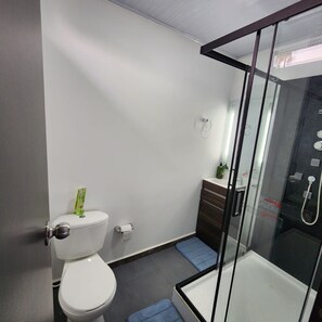 Villa, accessible aux personnes à mobilité réduite, fumeurs | Salle de bain