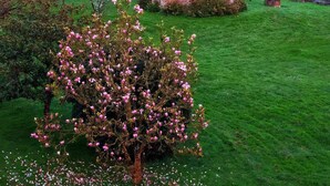 Un edificio rústico de piedra con techo inclinado, rodeado por un campo verde exuberante y árboles en flor.