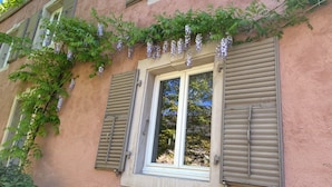 Ein Gebäude mit einem Fenster, das Holzklappen, einen weißen Rahmen und einen Blick auf Bäume hat.