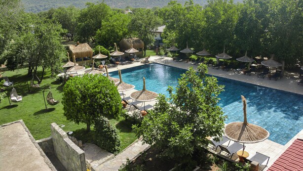 A pool area with lounge chairs and umbrellas, surrounded by trees and a view of mountains. - Ballı Boutique Hotel & Restaurant  (Fethiye)