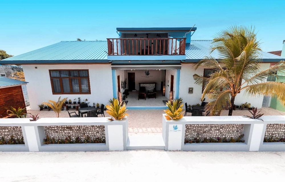 Blue Coral Vashafaru Maldives