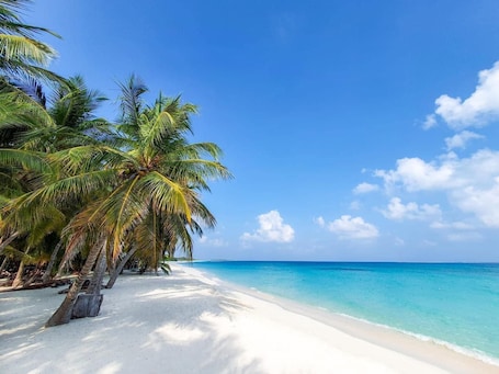 Exterior. Blue Coral Vashafaru