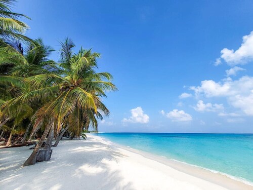 Blue Coral Vashafaru