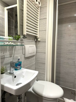 Ducha, secador de pelo, toallas, jabón