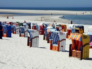 Beach chairs with numbers on them, arranged on a sandy beach.